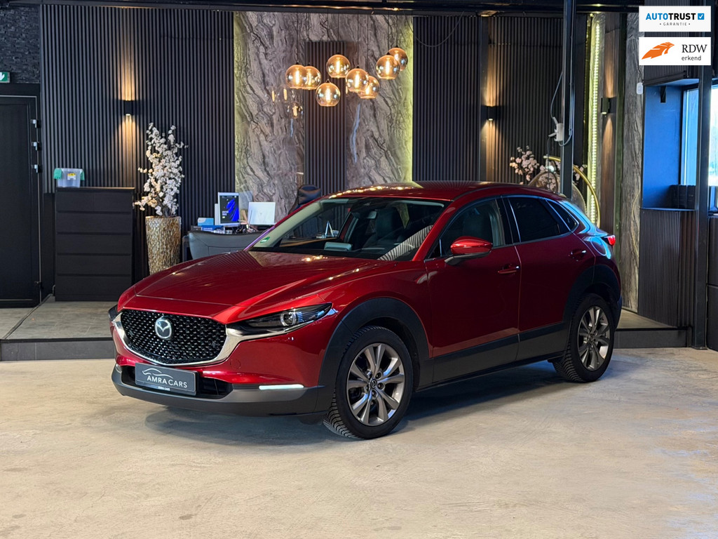 52430490-30.jpg